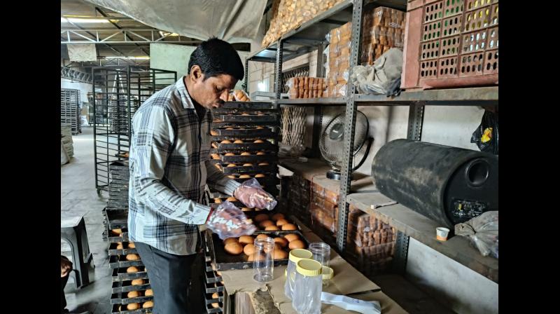 अहमदाबाद में फूड सेफ्टी पर बड़ी कार्रवाई, 709 सैंपल में 46 फेल, चार अहमदाबाद में फूड सेफ्टी पर बड़ी कार्रवाई, 709 सैंपल में 46 फेल, चार