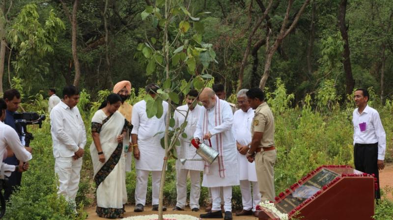 दिल्ली में 70 लाख पौधे लगाने के महाअभियान का अमित शाह ने किया शुभारंभ दिल्ली में 70 लाख पौधे लगाने के महाअभियान का अमित शाह ने किया शुभारंभ