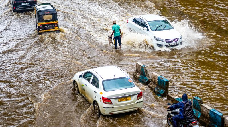 महाराष्ट्र में मानसून का कहर, 1 जून से अब तक 62 लोगों की मौत; तटीय जिलों के लिए रेड अलर्ट महाराष्ट्र में मानसून का कहर, 1 जून से अब तक 62 लोगों की मौत; तटीय जिलों के लिए रेड अलर्ट