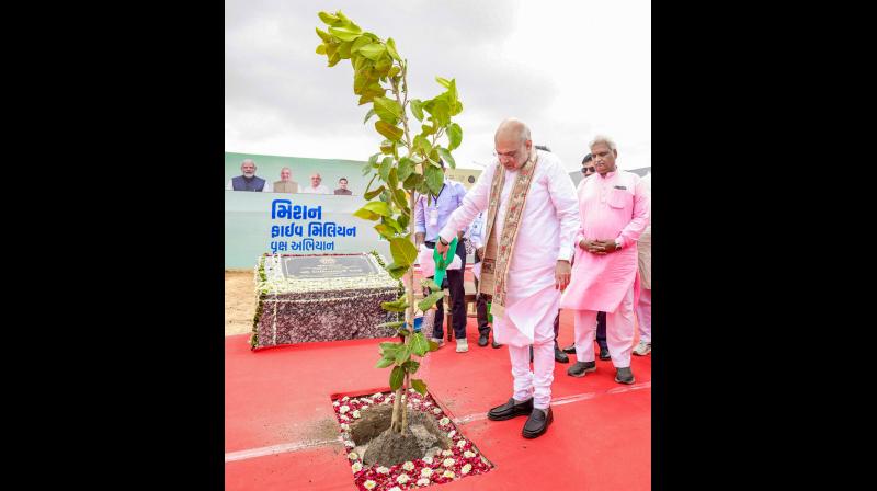 अहमदाबाद म्युनिसिपल कॉर्पोरेशन ने बनाया गिनीज वर्ल्ड रिकॉर्ड, अमित अहमदाबाद म्युनिसिपल कॉर्पोरेशन ने बनाया गिनीज वर्ल्ड रिकॉर्ड, अमित
