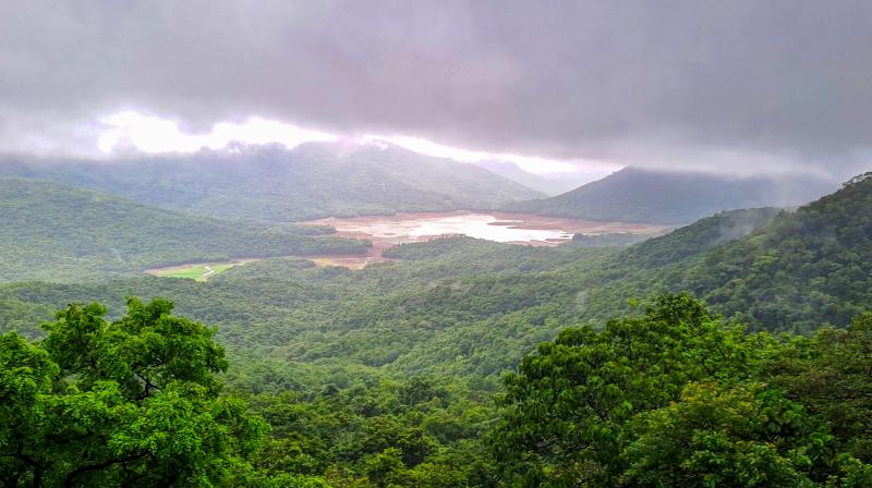 चेन्नई में मध्यम बारिश की संभावना, पश्चिमी घाट के जिलों में 23 जुलाई तक होगी बारिश चेन्नई में मध्यम बारिश की संभावना, पश्चिमी घाट के जिलों में 23 जुलाई तक होगी बारिश
