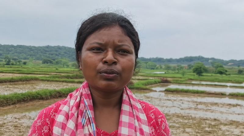 खेतों में काम और मोबाइल से पढ़ाई कर लक्ष्मी बनारा ने किया नीट क्वालीफाई, बोलीं-डॉक्टर बनकर करूंगी सेवा खेतों में काम और मोबाइल से पढ़ाई कर लक्ष्मी बनारा ने किया नीट क्वालीफाई, बोलीं-डॉक्टर बनकर करूंगी सेवा