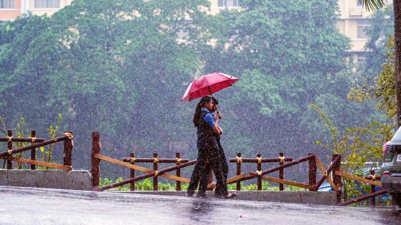केरल के कई हिस्सों में भारी बारिश का अलर्ट, कोझिकोड में बंद किए गए केरल के कई हिस्सों में भारी बारिश का अलर्ट, कोझिकोड में बंद किए गए