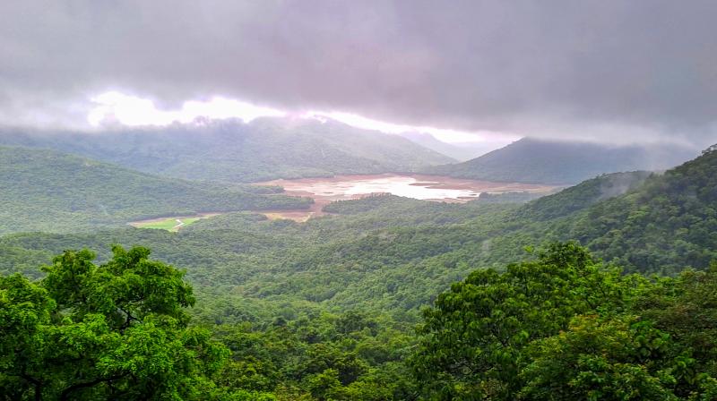 तमिलनाडु के पश्चिमी जिलों में 6 अगस्त तक भारी बारिश और तेज हवाएं चलने की संभावना तमिलनाडु के पश्चिमी जिलों में 6 अगस्त तक भारी बारिश और तेज हवाएं चलने की संभावना