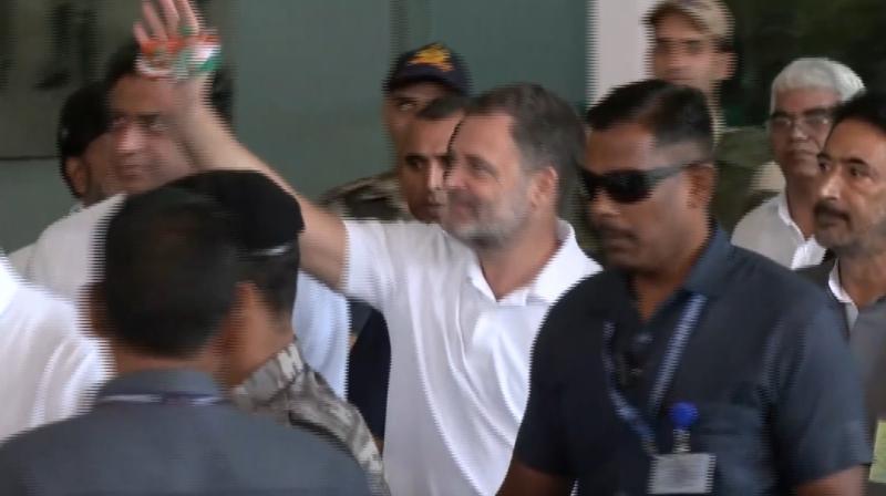 चेन्नई दौरे पर राहुल गांधी, मामल्लपुरम शिविर में कांग्रेस जिला प्रमुखों को करेंगे संबोधित चेन्नई दौरे पर राहुल गांधी, मामल्लपुरम शिविर में कांग्रेस जिला प्रमुखों को करेंगे संबोधित