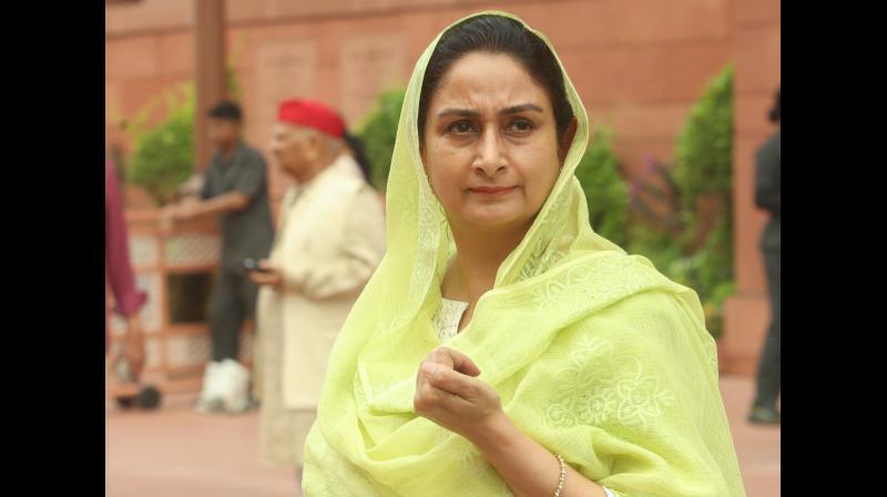 भगवंत मान की पत्नी पर भ्रष्टाचार के आरोपों को लेकर हमलावर हुईं हरसिमरत कौर, बोलीं- '5 सितंबर को फिर पूछूंगी' भगवंत मान की पत्नी पर भ्रष्टाचार के आरोपों को लेकर हमलावर हुईं हरसिमरत कौर, बोलीं- '5 सितंबर को फिर पूछूंगी'