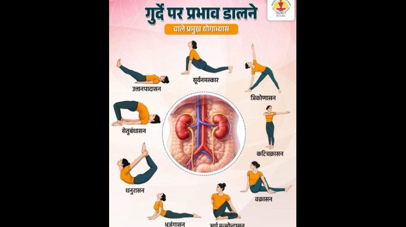 गुर्दे की सेहत के लिए वरदान हैं ये योगाभ्यास, जानें करने का सही तरीका गुर्दे की सेहत के लिए वरदान हैं ये योगाभ्यास, जानें करने का सही तरीका