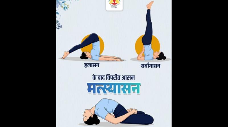 सर्वांगासन-हलासन के बाद क्यों जरूरी है मत्स्यासन, जानिए काउंटर पोज का सर्वांगासन-हलासन के बाद क्यों जरूरी है मत्स्यासन, जानिए काउंटर पोज का