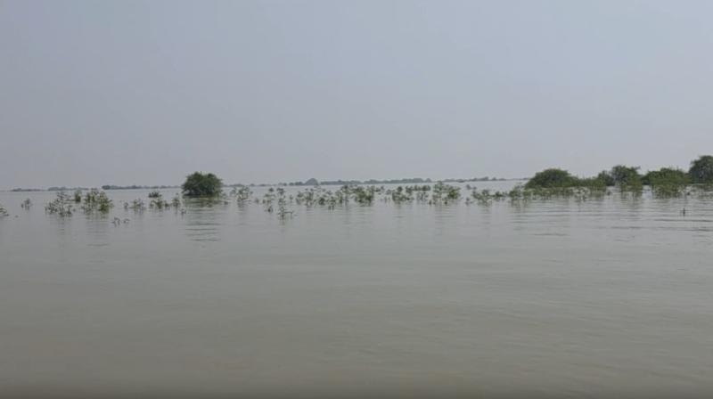 बिहार के भागलपुर में दो जगह तटबंध टूटे, कोसी के बढ़ते जलस्तर से बढ़ी बिहार के भागलपुर में दो जगह तटबंध टूटे, कोसी के बढ़ते जलस्तर से बढ़ी
