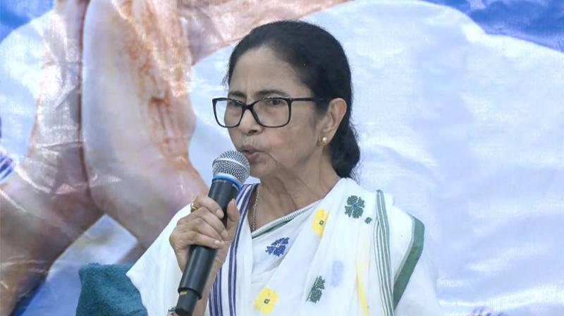 उपचुनाव में नंदीग्राम और असम में कांग्रेस का समर्थन करेंगी ममता बनर्जी उपचुनाव में नंदीग्राम और असम में कांग्रेस का समर्थन करेंगी ममता बनर्जी