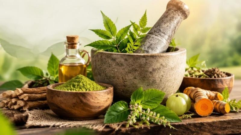 'स्वस्थ भारत का आधार', आयुर्वेद दिवस पर दिल्ली सीएम रेखा गुप्ता से 'स्वस्थ भारत का आधार', आयुर्वेद दिवस पर दिल्ली सीएम रेखा गुप्ता से
