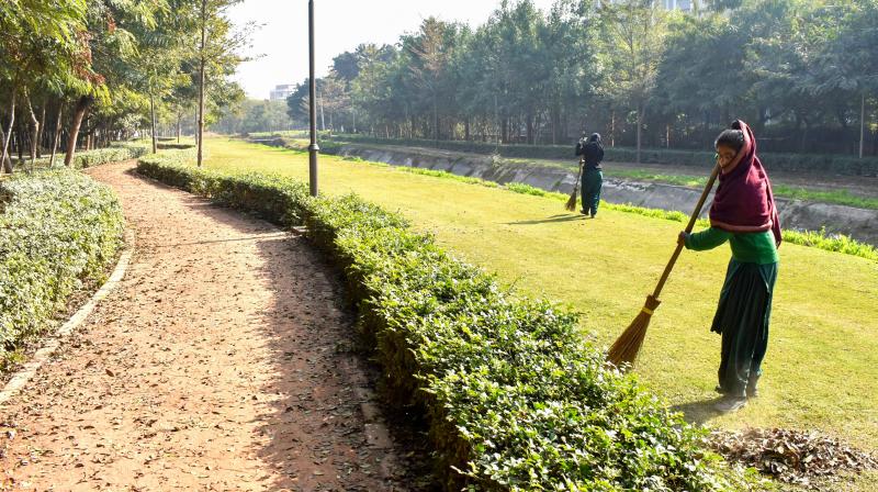 प्लास्टिक वेस्ट मैनेजमेंट में अहमदाबाद बना मॉडल, हाईकोर्ट ने की तारीफ