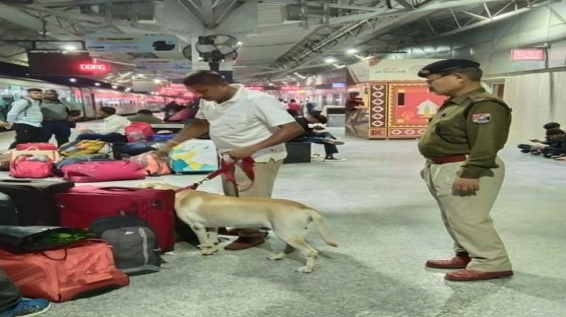 एनएफआर आरपीएफ की उपलब्धियां: 291 मोबाइल बरामद, 55 करोड़ की नशीली दवाएं जब्त, 285 चोर गिरफ्तार एनएफआर आरपीएफ की उपलब्धियां: 291 मोबाइल बरामद, 55 करोड़ की नशीली दवाएं जब्त, 285 चोर गिरफ्तार