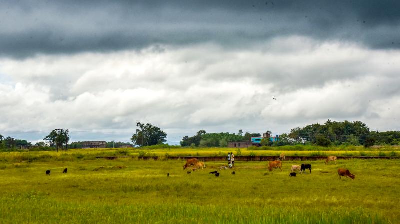 एनसीआर में 8 अप्रैल तक बिगड़ा रहेगा मौसम, तेज हवाएं, बारिश और ओलावृष्टि से फसलों को नुकसान एनसीआर में 8 अप्रैल तक बिगड़ा रहेगा मौसम, तेज हवाएं, बारिश और ओलावृष्टि से फसलों को नुकसान