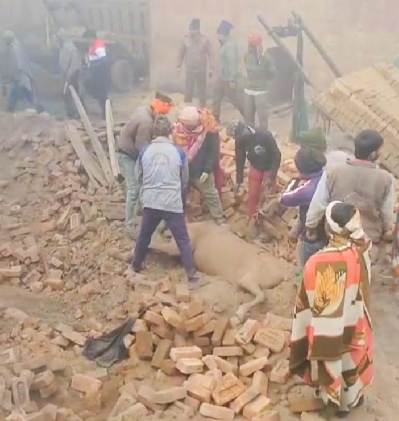 Roorkie wall collapses