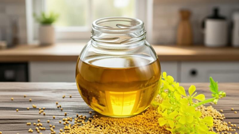 मोटापा और बीमारियों की जड़ है अधिक तेल का सेवन, छोटी आदतों से पाएं बड़ा बदलाव