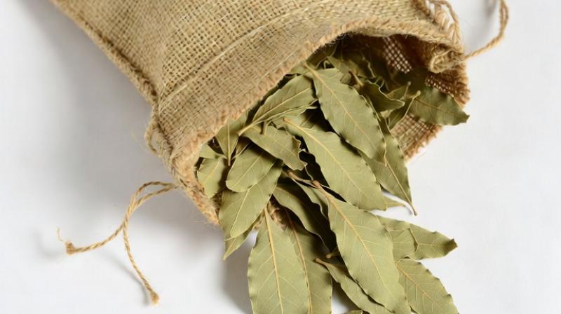 तेजपत्ता: स्वाद बढ़ाने के साथ सेहत के लिए भी वरदान, जानिए फायदे तेजपत्ता: स्वाद बढ़ाने के साथ सेहत के लिए भी वरदान, जानिए फायदे