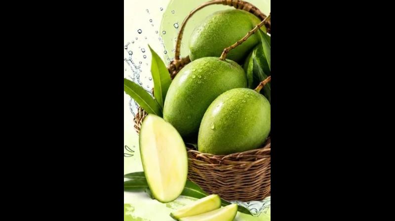 भीषण गर्मी में सेहत का साथी 'कच्चा आम,' सेवन से कई फायदे भीषण गर्मी में सेहत का साथी 'कच्चा आम,' सेवन से कई फायदे