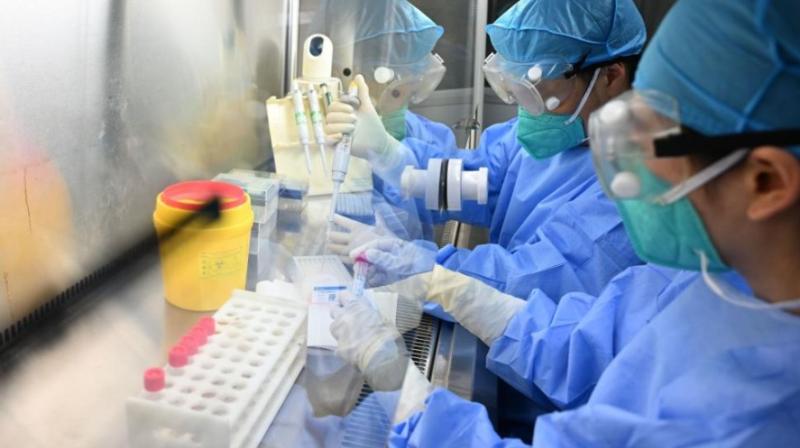 हंता वायरस संकट: थाईलैंड में खतरनाक संक्रामक बीमारी घोषित, 42 दिन का हंता वायरस संकट: थाईलैंड में खतरनाक संक्रामक बीमारी घोषित, 42 दिन का