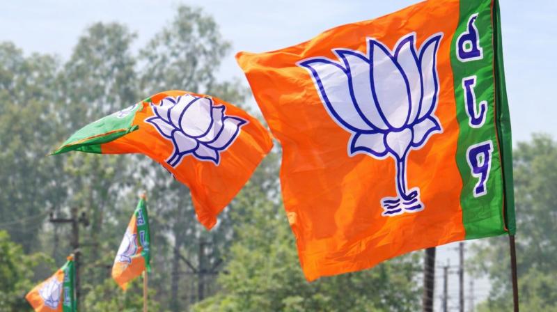 पीएम मोदी की ईंधन बचाने की अपील के बाद भाजपा ने शुरू किया 'मेरा भारत, पीएम मोदी की ईंधन बचाने की अपील के बाद भाजपा ने शुरू किया 'मेरा भारत,