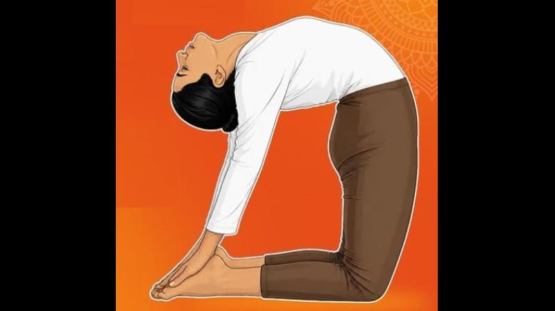 दिन भर छाई रहती है सुस्ती, छोटे-छोटे काम के बाद थक जाता है शरीर? दिन भर छाई रहती है सुस्ती, छोटे-छोटे काम के बाद थक जाता है शरीर?