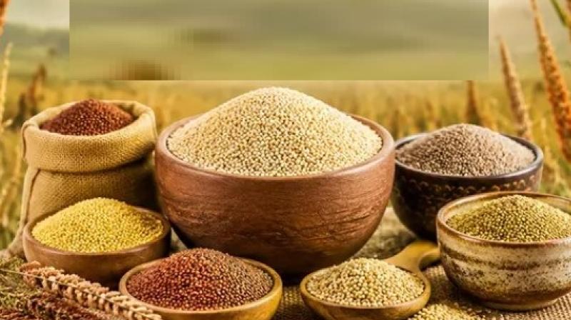 वजन नियंत्रण से हड्डियों की मजबूती तक, पोषक तत्वों का पावरहाउस 'श्री वजन नियंत्रण से हड्डियों की मजबूती तक, पोषक तत्वों का पावरहाउस 'श्री