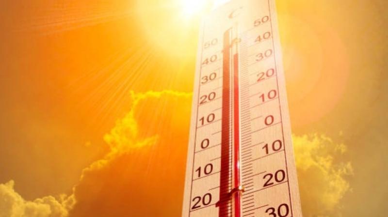 आंध्र प्रदेश के चित्याला में इस सीजन का सबसे अधिक तापमान दर्ज किया गया आंध्र प्रदेश के चित्याला में इस सीजन का सबसे अधिक तापमान दर्ज किया गया