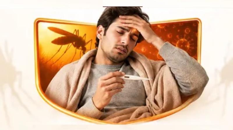 सामान्य समझकर टाल रहे हैं बुखार? ये लक्षण हो सकते हैं खतरनाक, समय पर सामान्य समझकर टाल रहे हैं बुखार? ये लक्षण हो सकते हैं खतरनाक, समय पर