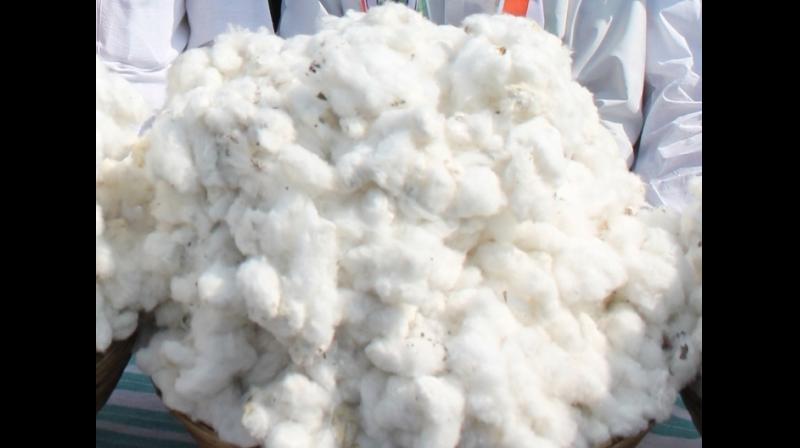 केंद्र सरकार ने 1 जून से 30 अक्टूबर तक कपास के आयात पर सभी सीमा शुल्क किए माफ