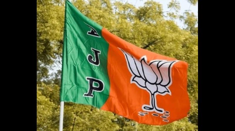 मोदी सरकार के 12 वर्ष पूरे होने पर देशभर में भाजपा 5 जून से चलाएगी विशेष अभियान