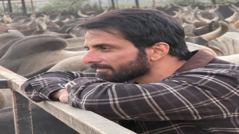 इंडस्ट्री से एकजुट होने की अपील : राजपाल यादव की मदद के लिए आगे आए सोनू सूद इंडस्ट्री से एकजुट होने की अपील : राजपाल यादव की मदद के लिए आगे आए सोनू सूद