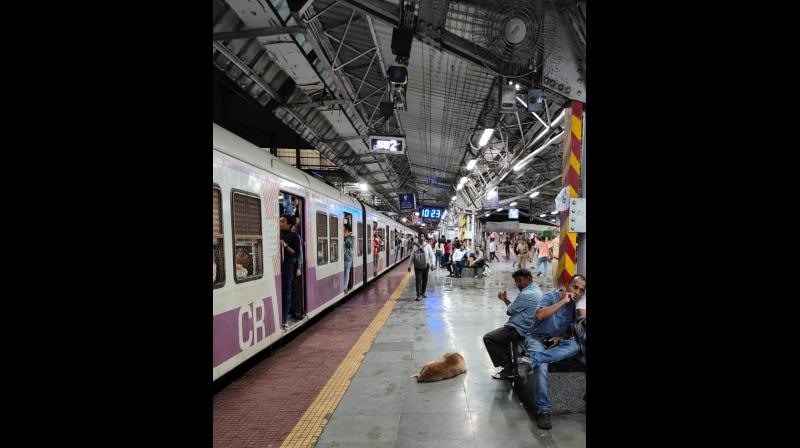 नीट की दोबारा परीक्षा के लिए मुंबई में नियमित चलेंगी ट्रेनें, नीट की दोबारा परीक्षा के लिए मुंबई में नियमित चलेंगी ट्रेनें,