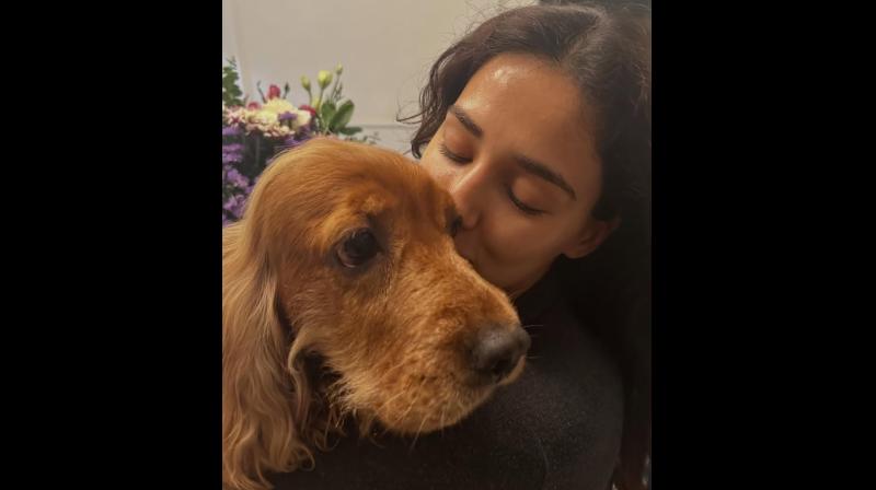 दिशा पाटनी ने पालतू जानवर बेला और जैस्मीन को लेकर लिखा भावुक पोस्ट, दिशा पाटनी ने पालतू जानवर बेला और जैस्मीन को लेकर लिखा भावुक पोस्ट,