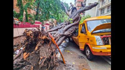 मुंबई में मॉनसून का कहर: 99 से अधिक पेड़ गिरे, शॉर्ट सर्किट के 13 मामले सामने आए