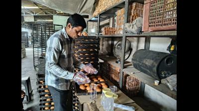 अहमदाबाद में फूड सेफ्टी पर बड़ी कार्रवाई, 709 सैंपल में 46 फेल, चार दुकानें सील