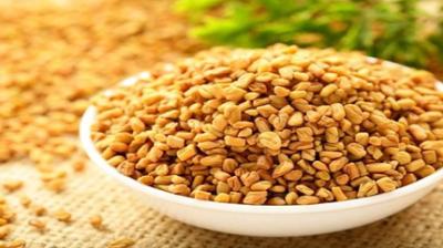 त्रिदोष संतुलन से लेकर वजन नियंत्रण तक, पोषक तत्वों से भरपूर सुपरफूड ये पीला दाना