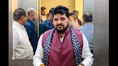 हनुमानगढ़ी परिसर में पढ़ी गई थी नमाज, सीढ़ियों पर 'नहीं': बृजभूषण शरण सिंह
