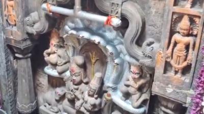 नाग पंचमी पर खुले भगवान नागचंद्रेश्वर के पट; भोर में 2:30 बजे खुले बाबा महाकाल के कपाट, बड़ी संख्या में उमड़े श्रद्धालु