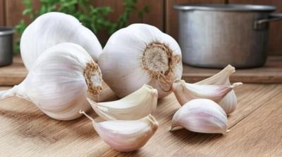 लहसुन की 1-2 कलियां रोज करें डाइट में शामिल, दिल से लेकर पेट तक मिल
