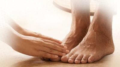 वरिष्ठजन समाज की अमूल्य पूंजी, विश्व वरिष्ठ नागरिक दिवस पर भाजपा