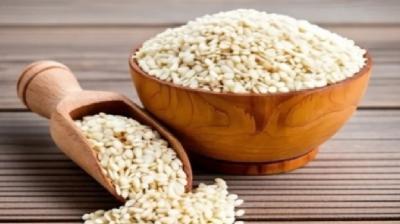 गर्मियों में तिल के तेल से अभ्यंग कितना सही? उपयोग से पहले क्या बरतें सावधानी