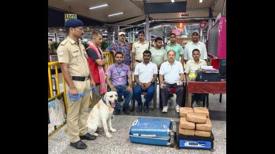 हावड़ा रेलवे स्टेशन पर 22.64 किलो गांजा बरामद, एक तस्कर गिरफ्तार