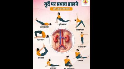 गुर्दे की सेहत के लिए वरदान हैं ये योगाभ्यास, जानें करने का सही तरीका
