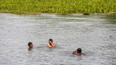 मध्य प्रदेश: दमोह में घर के पास गड्ढे में भरले पानी में मृत पाई गईं