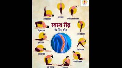 कमर दर्द और गर्दन की अकड़न से हैं परेशान; रोज करें ये योगासन, रीढ़