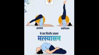 सर्वांगासन-हलासन के बाद क्यों जरूरी है मत्स्यासन, जानिए काउंटर पोज का