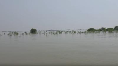बिहार के भागलपुर में दो जगह तटबंध टूटे, कोसी के बढ़ते जलस्तर से बढ़ी