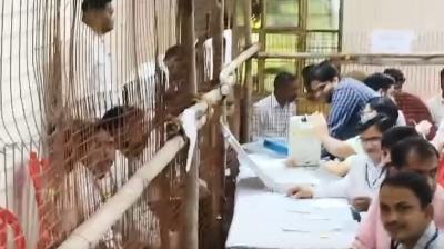 नगर निकाय चुनाव 2026: अलवर, बूंदी, सीकर, जैसलमेर और नाथद्वारा में कई