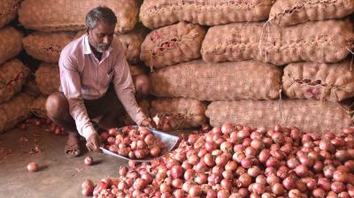 भारत में खुदरा महंगाई  अगस्त में बढ़कर 4.82 प्रतिशत पर पहुंची,