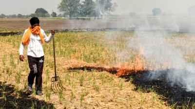 पंजाब में पराली जलाने के 27 मामले दर्ज, पटियाला में एक केस पर 5 हजार
